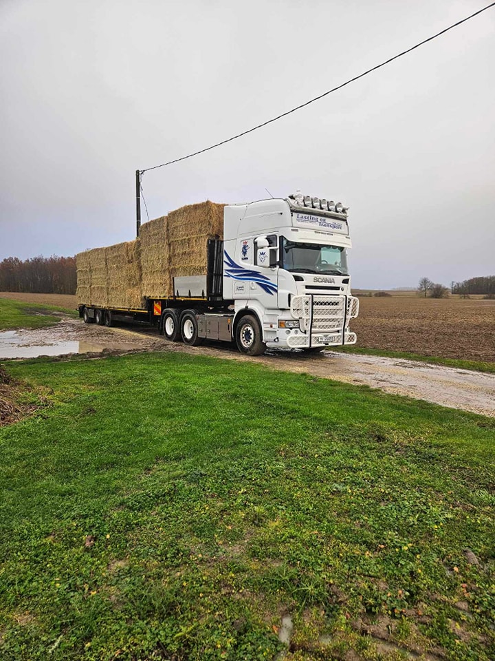 414007797_1321013455465460_3358444586112871230_n